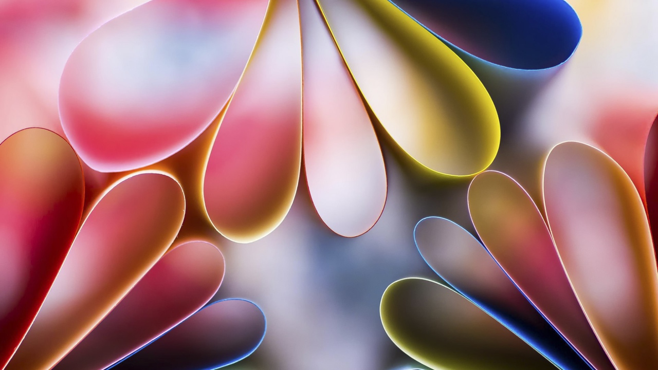 Лепестки цветов