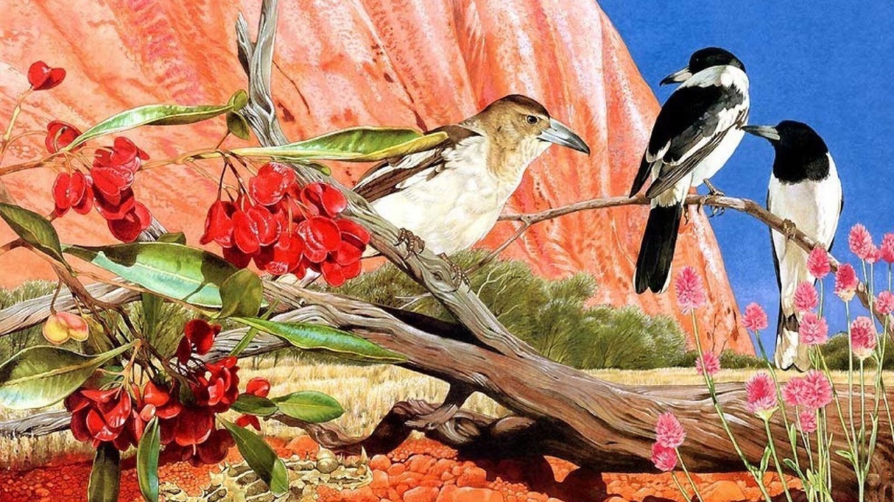 Общение птиц