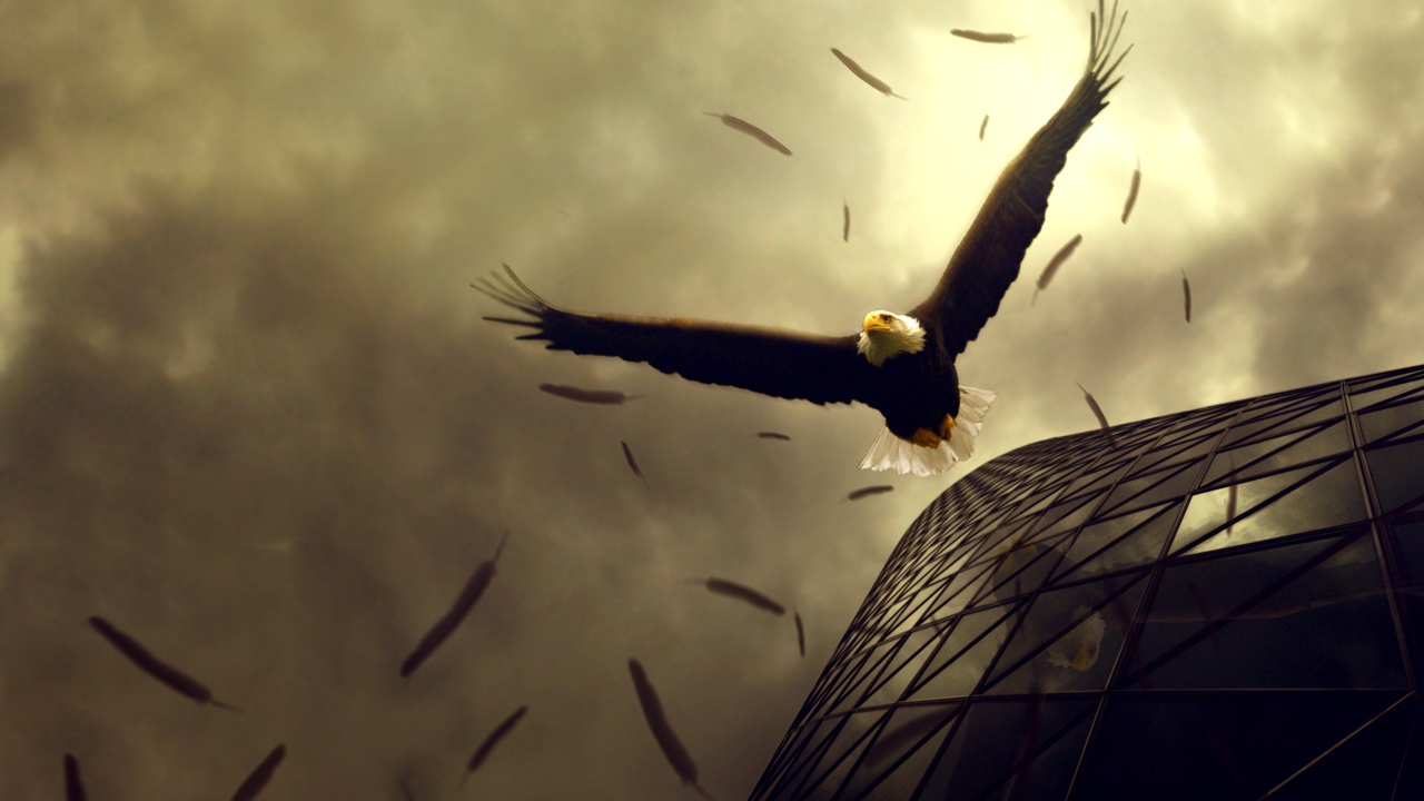 Полет орлов