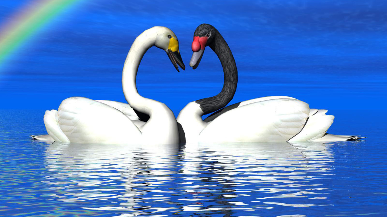 Лебеди под радугой