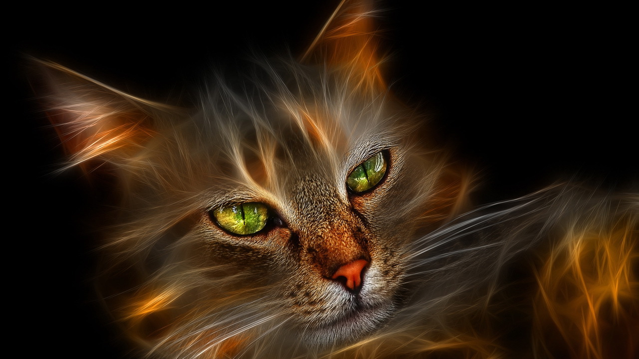 Огненная кошка