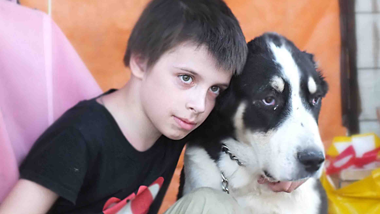 Мальчик сидит с алабаем