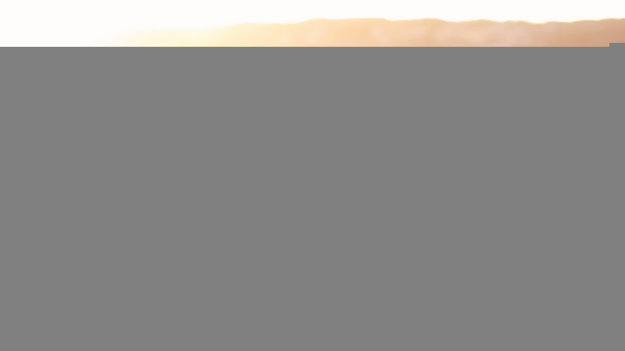 Собака под солнечным светом