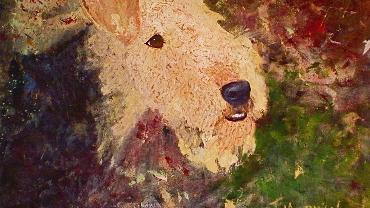 Рисунок собаки эрдельтерьера