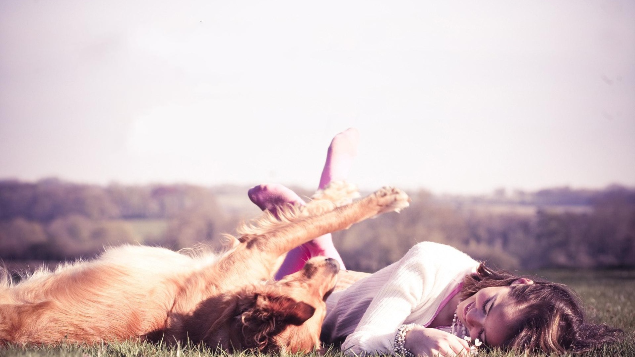 Девушка играет с собакой