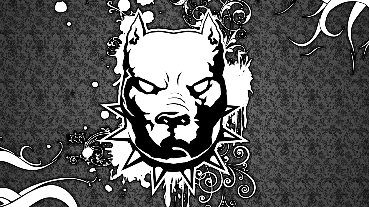 Изображение злого питбуля