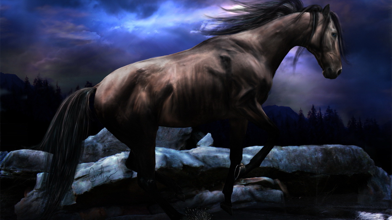 Черный конь скачет по реке