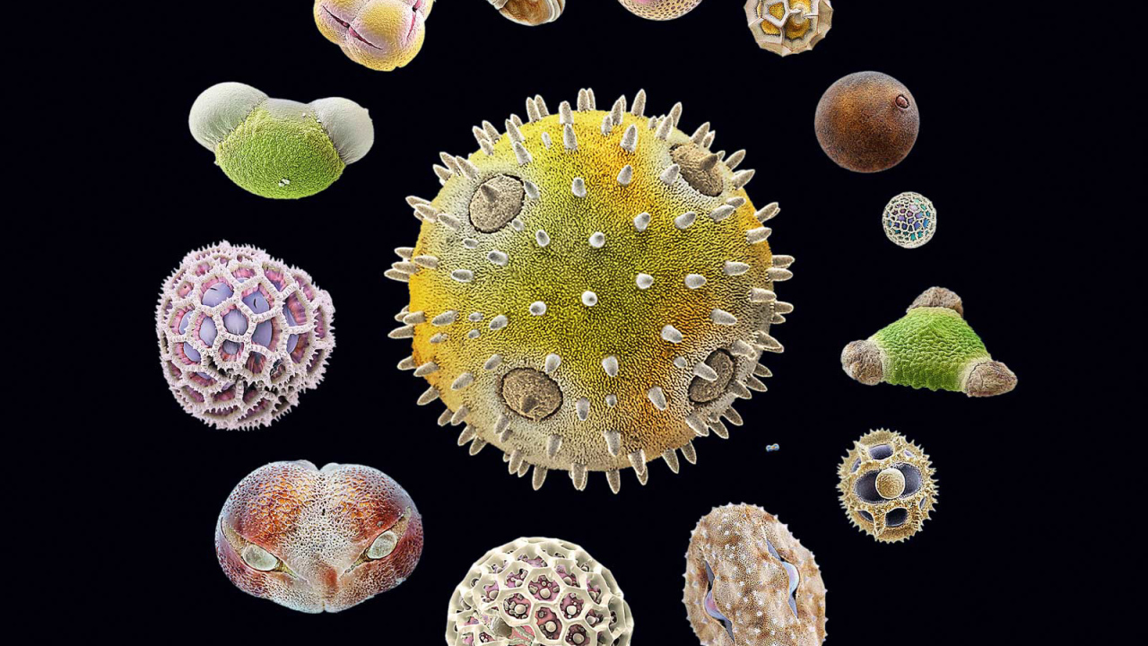 Морская тема