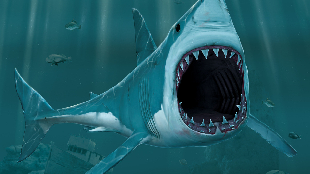 Зубастая акула