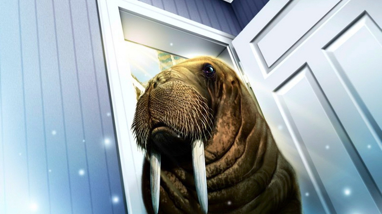 Морж пришел в дом