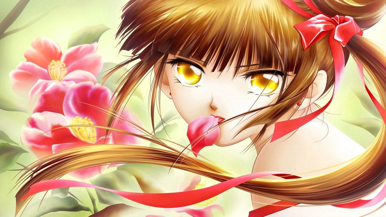 Принцесса вампиров