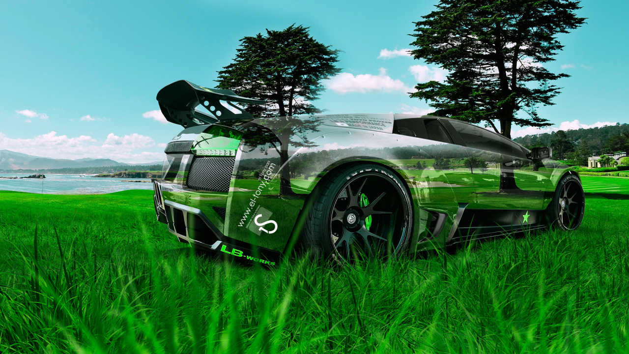 Lamborghini Murcielago в траве