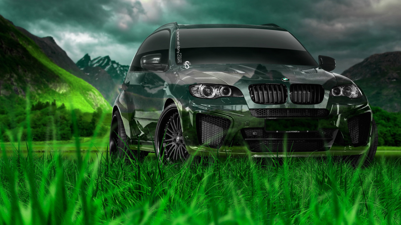 Дух свободы с BMW X5