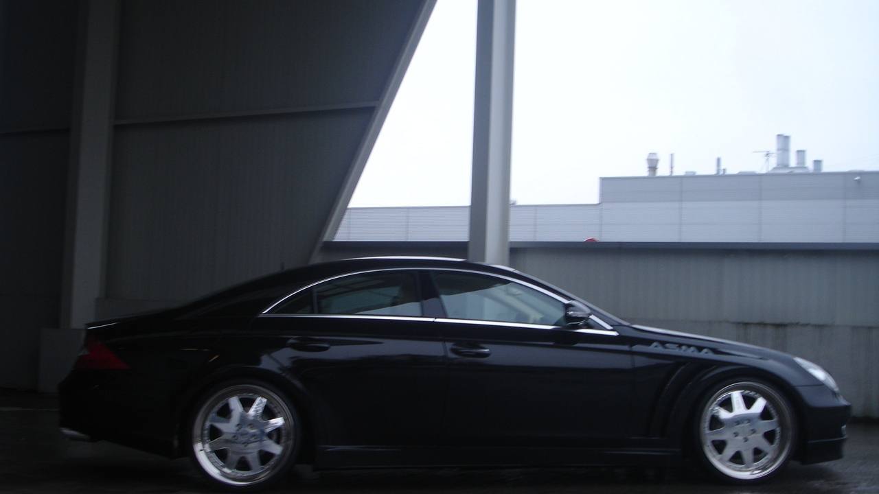 Asma Tavan 2013 в городе