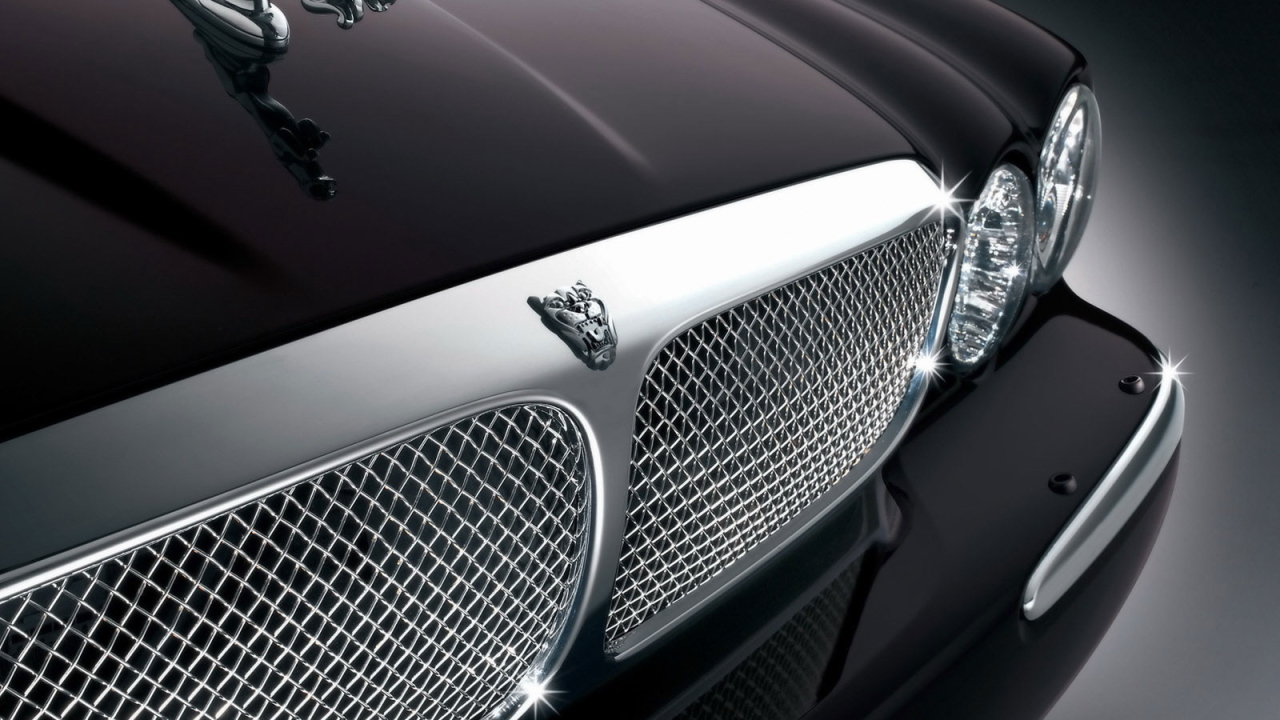 Передок Ягуара