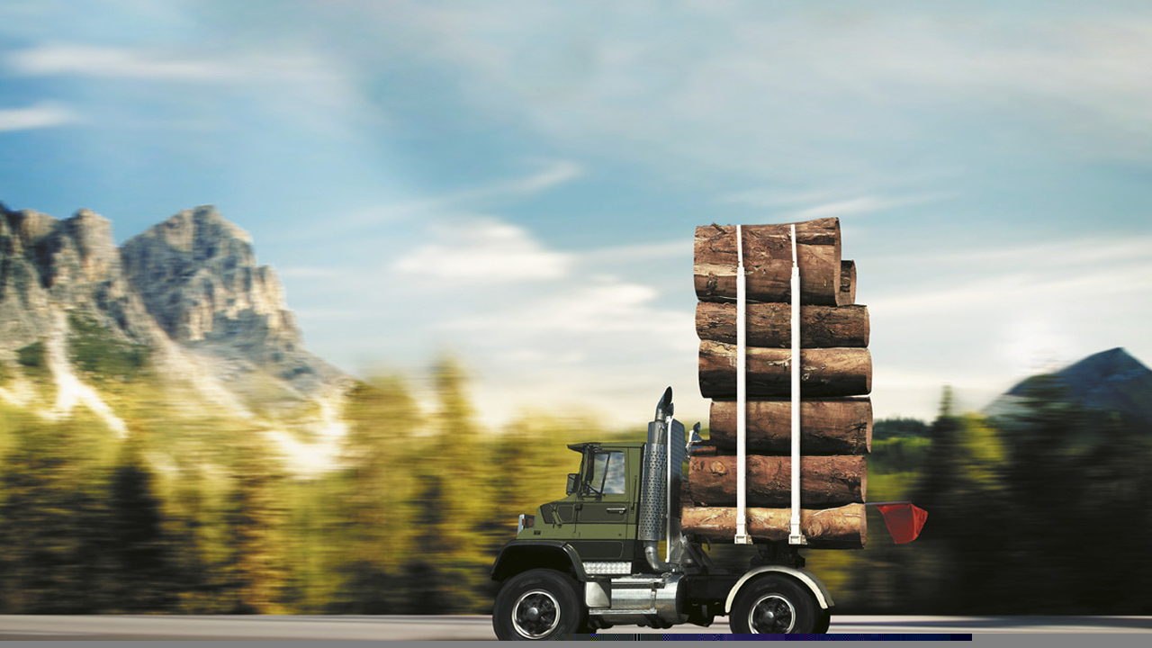 Автомобиль лесовоз