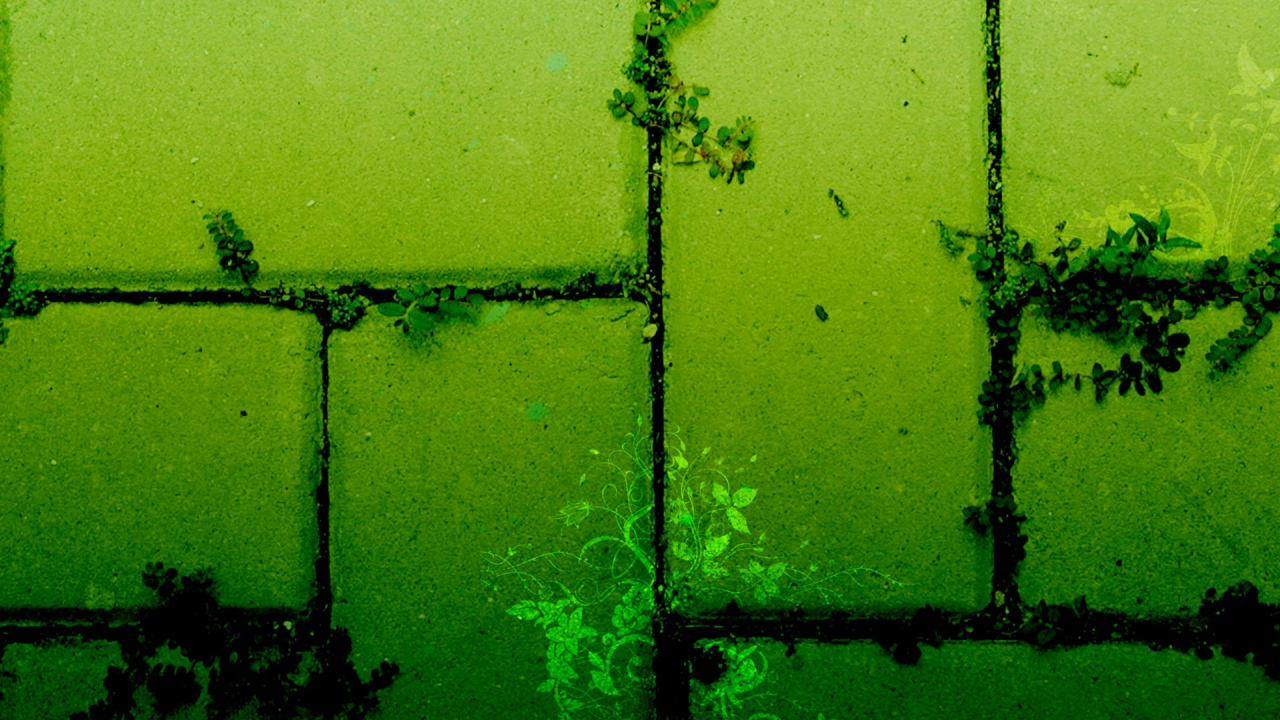 Тротуарная плитка