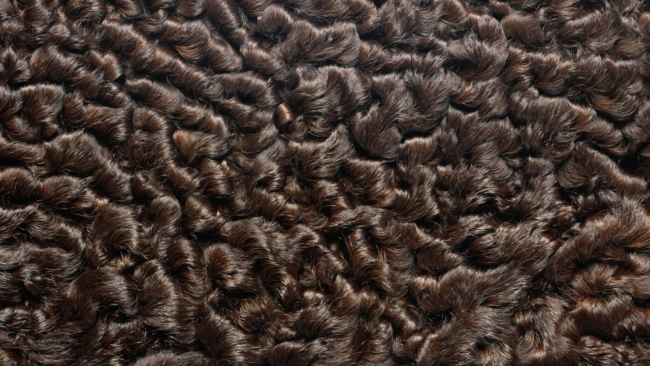 Мех каракуль