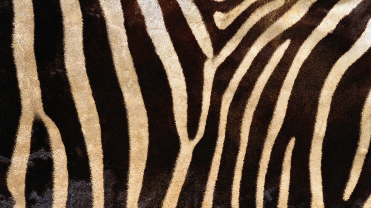Мех зебры