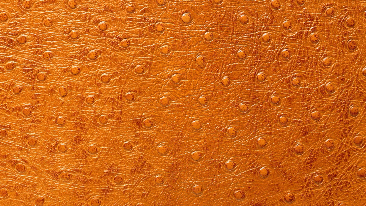 Кожа особой выделки