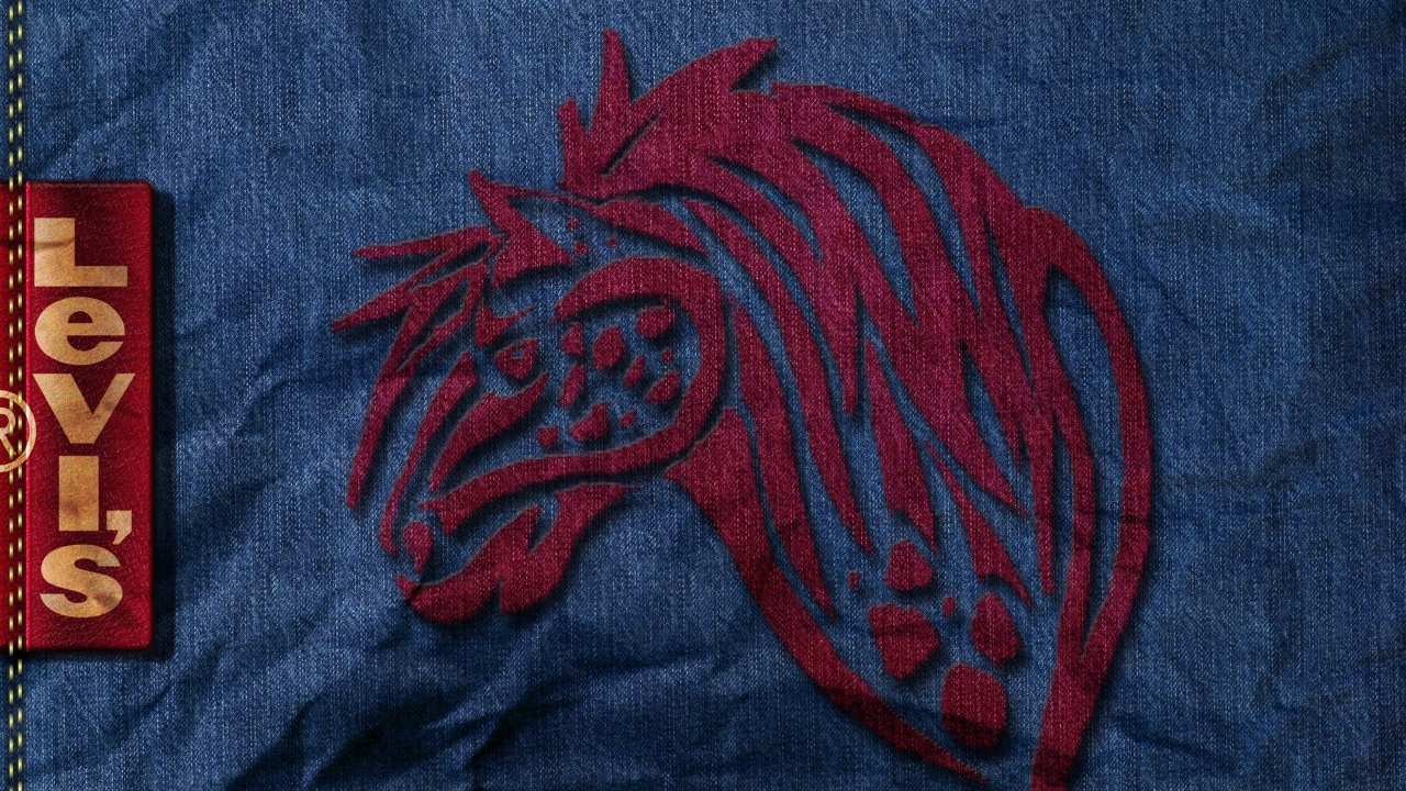 Известный бренд Levi`s