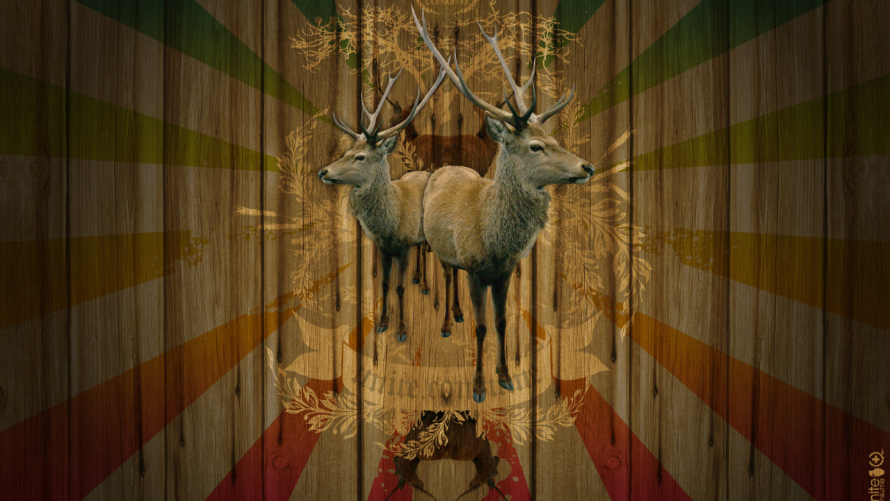 Объединение потребителей