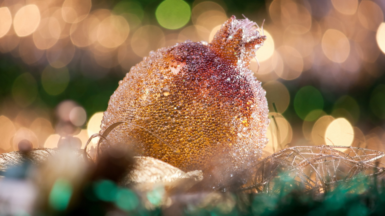 Гранат на Рождество