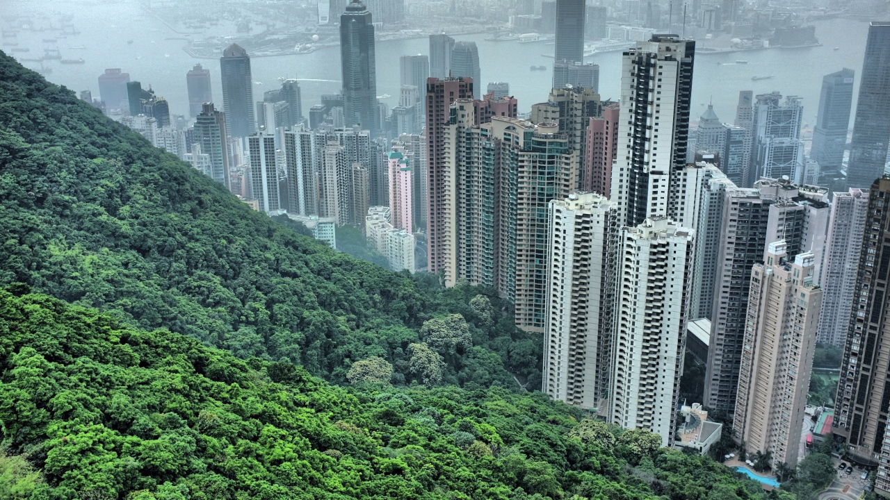 Китайский горд Хонг Конг