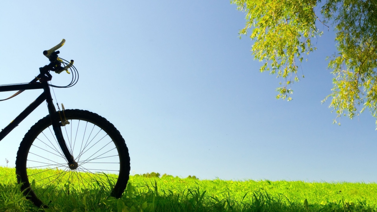 Велосипед в поле