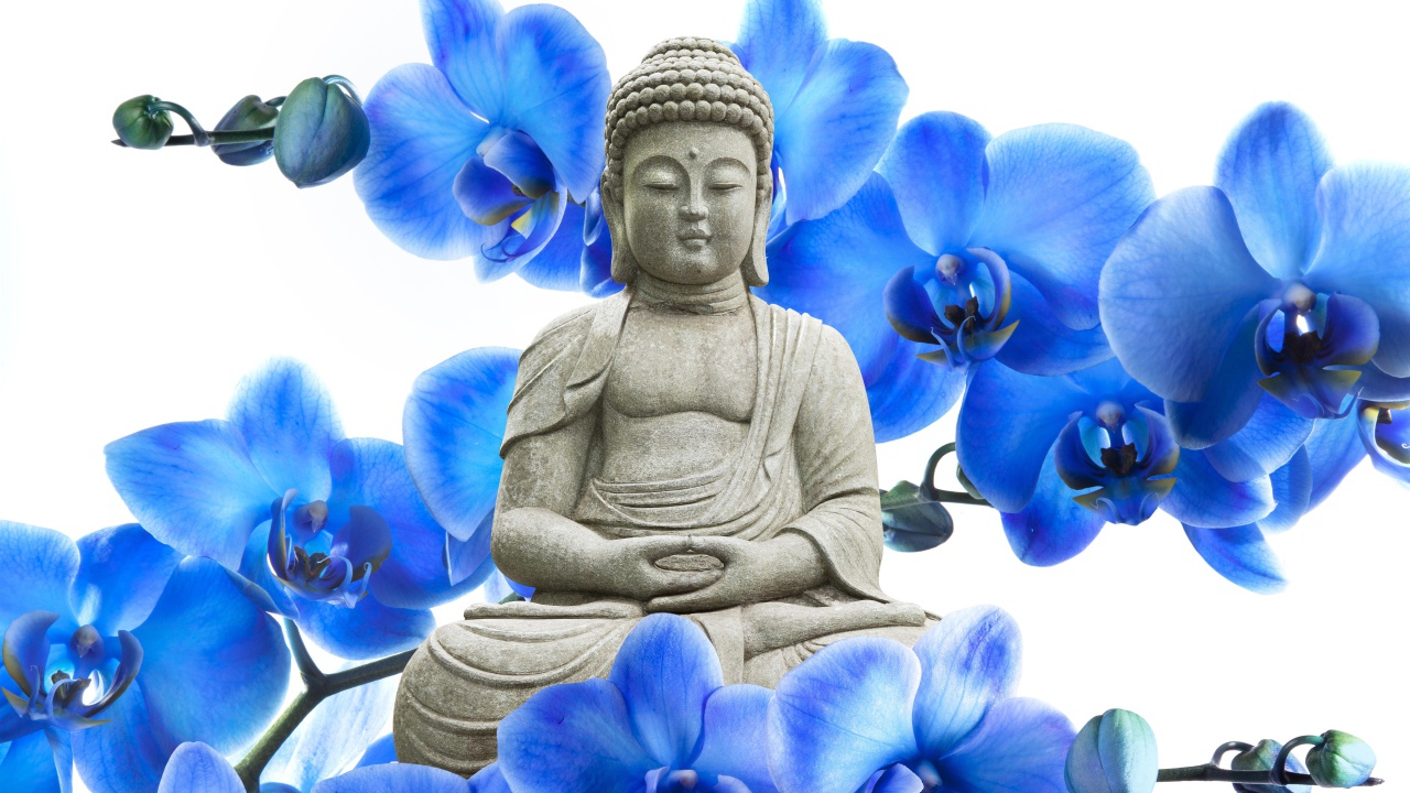 Buddha on a background of flowers