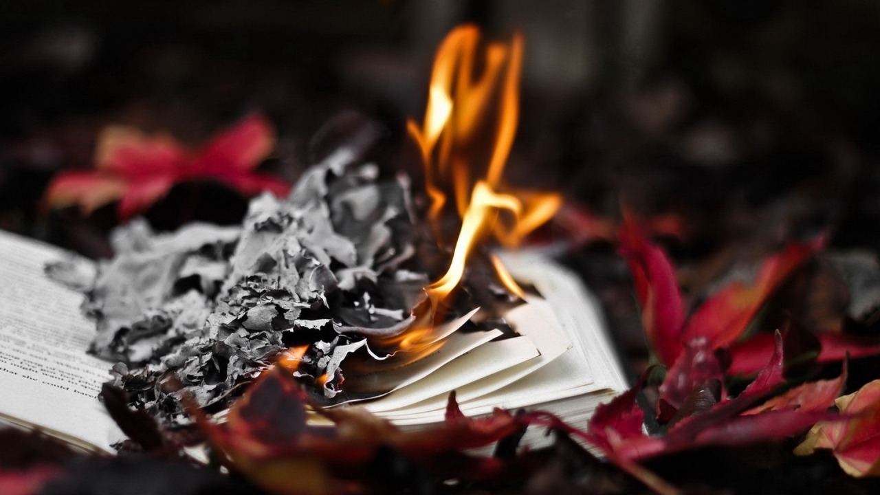 Горит книга в осенних листьях