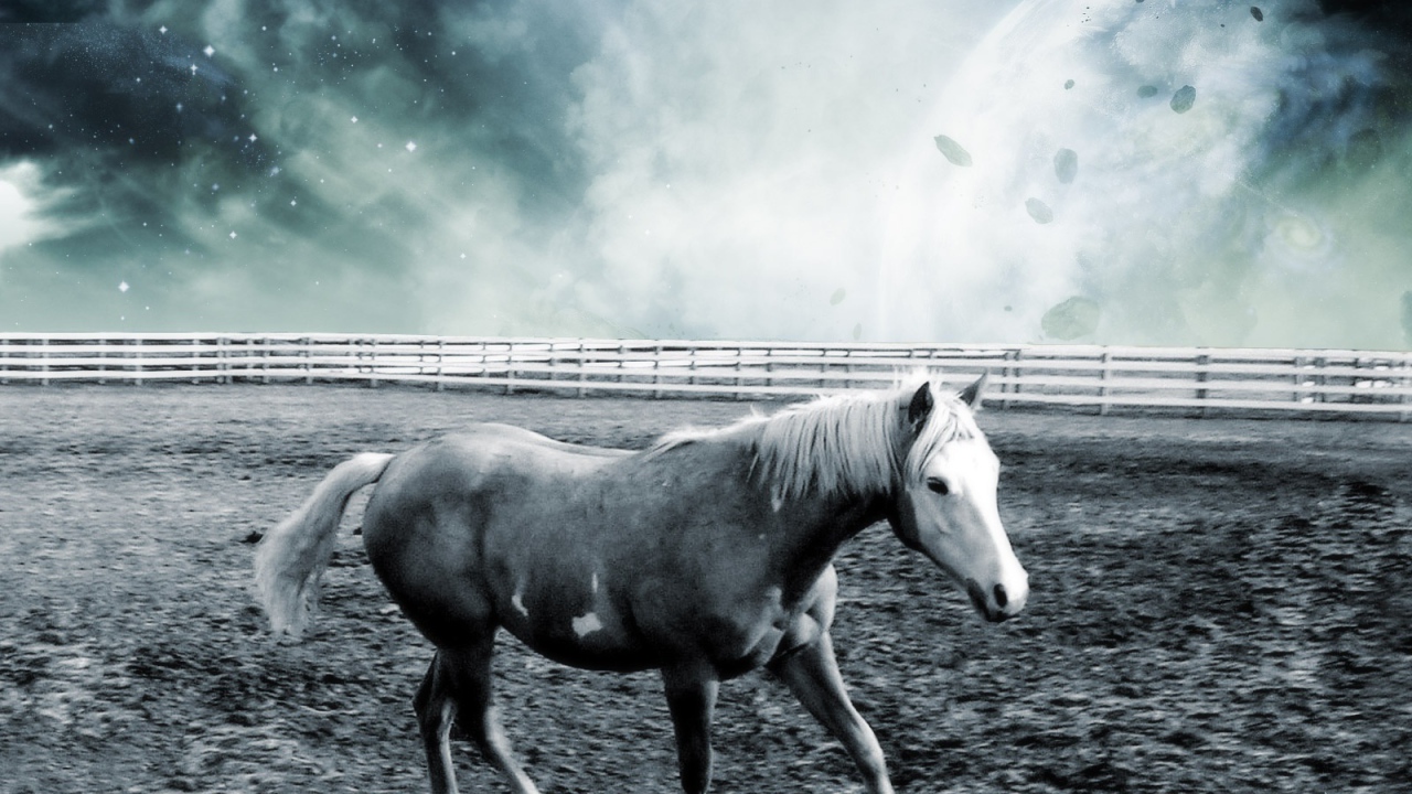 Лошадь в фантастическом мире