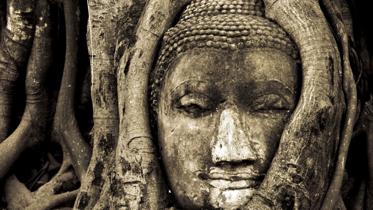 Лицо Будды в дереве