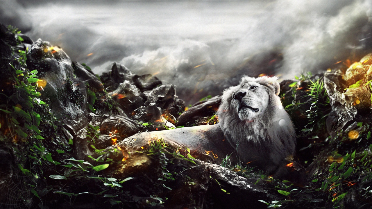 Лев в джунглях