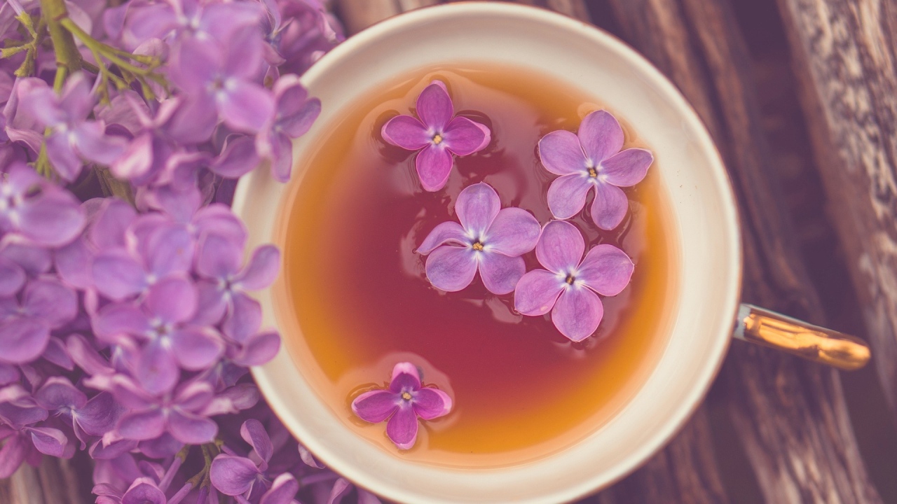 Сирень в чашке