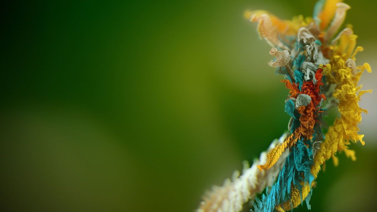 Микро объект 