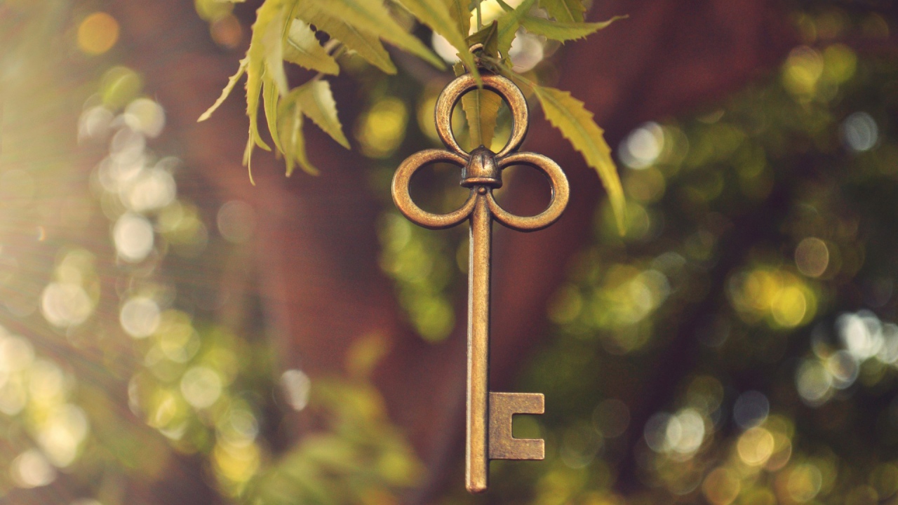 Ключ висит на ветке