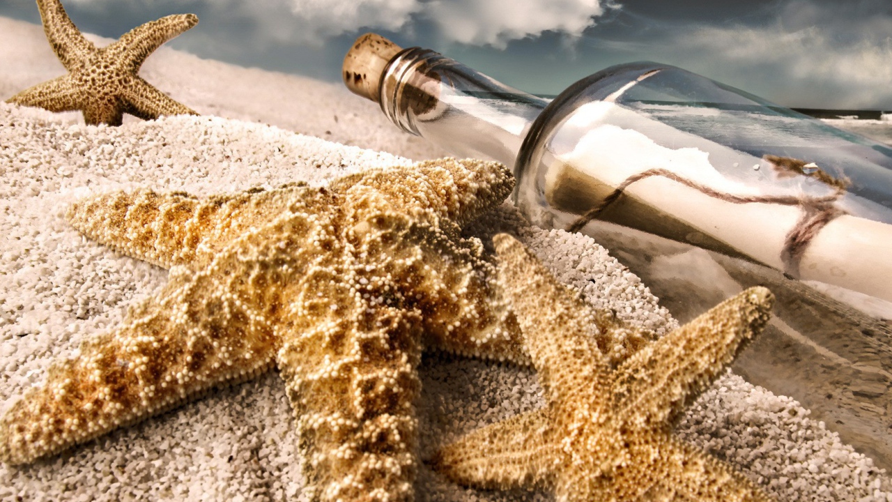 Морская звезда и бутылка с письмом