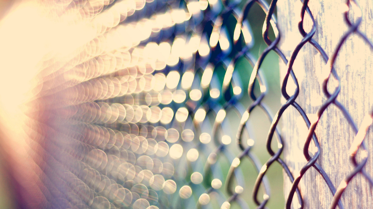 Забор из рабицы