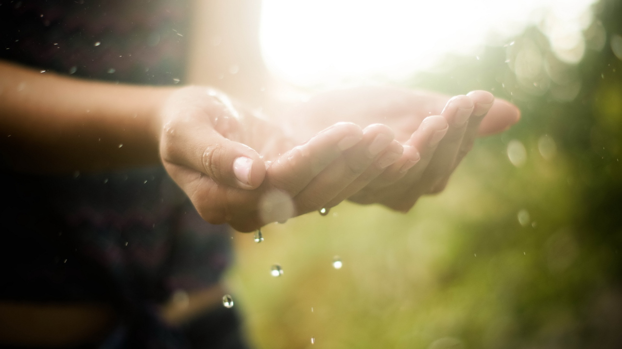 Ладони с водой