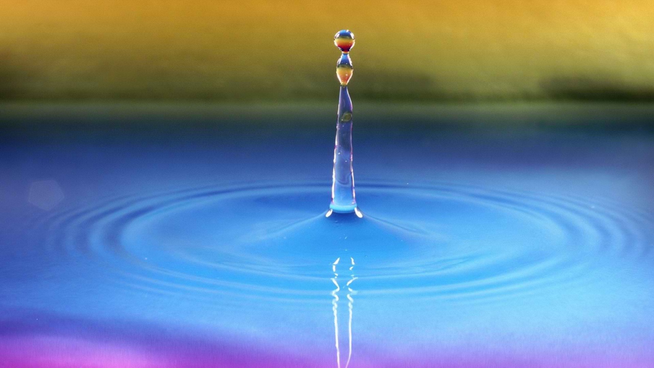 	   The drop in the water