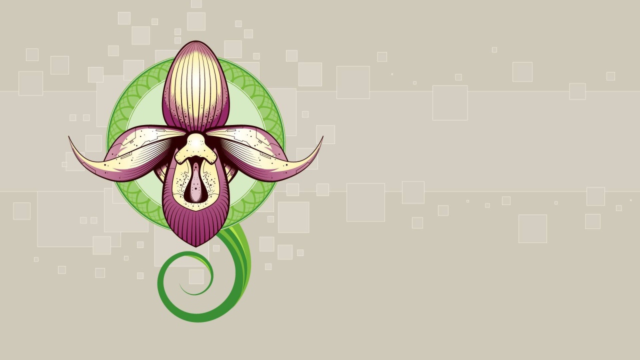 Рисунок орхидеи