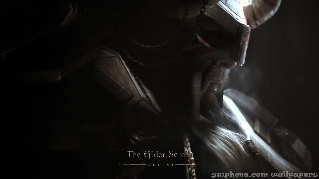 Закаленный в боях викинг