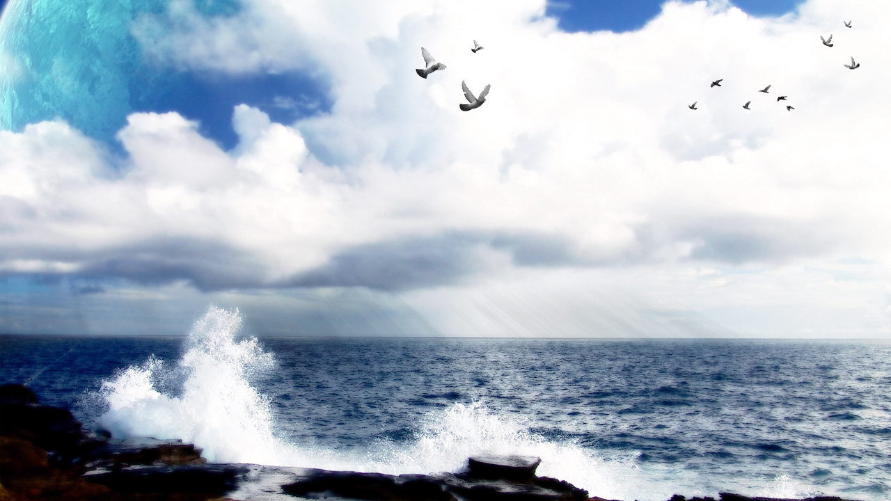 Море ,голуби и космос