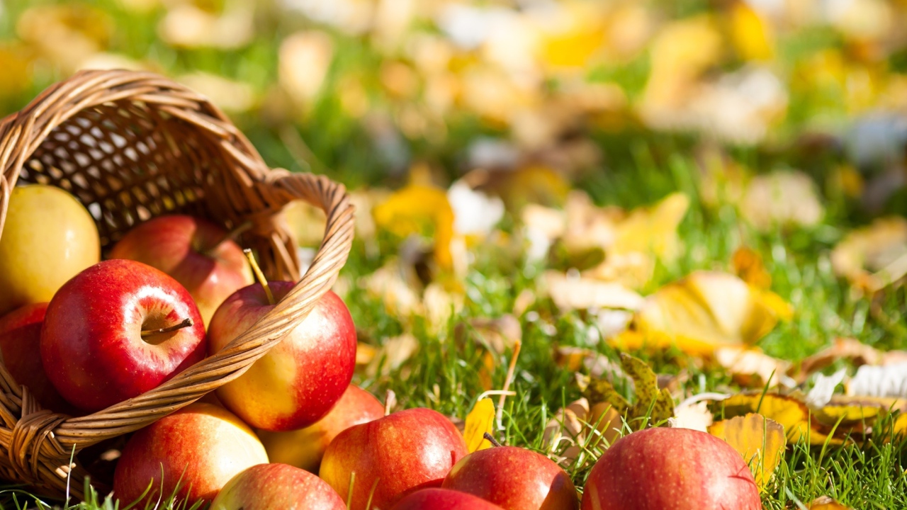Корзина с яблоками