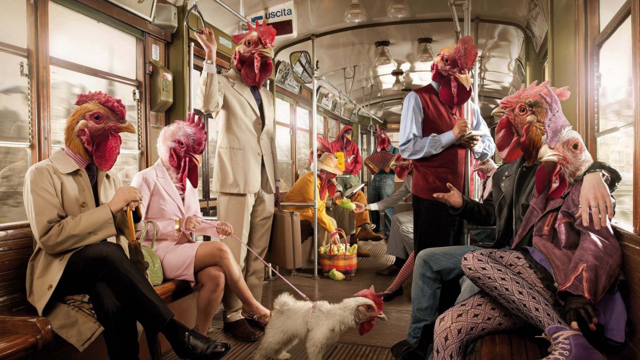 Поездка в курятнике