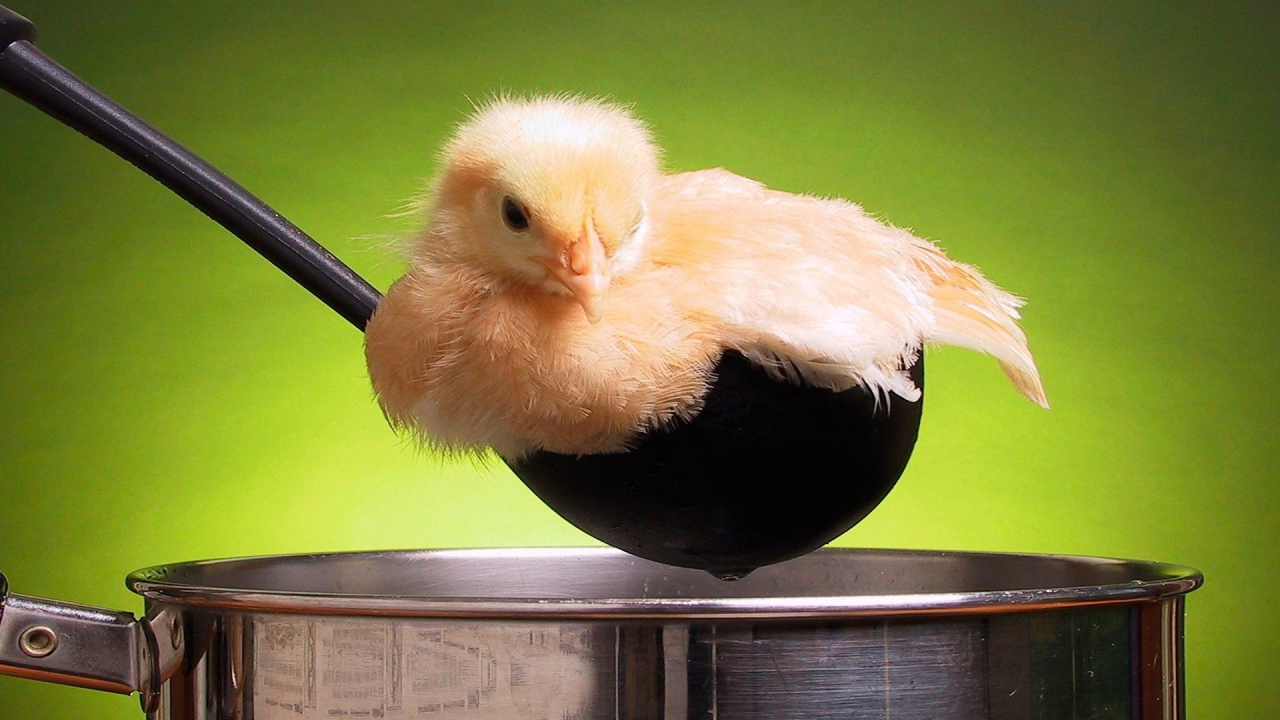 Цыпленок в поварешке