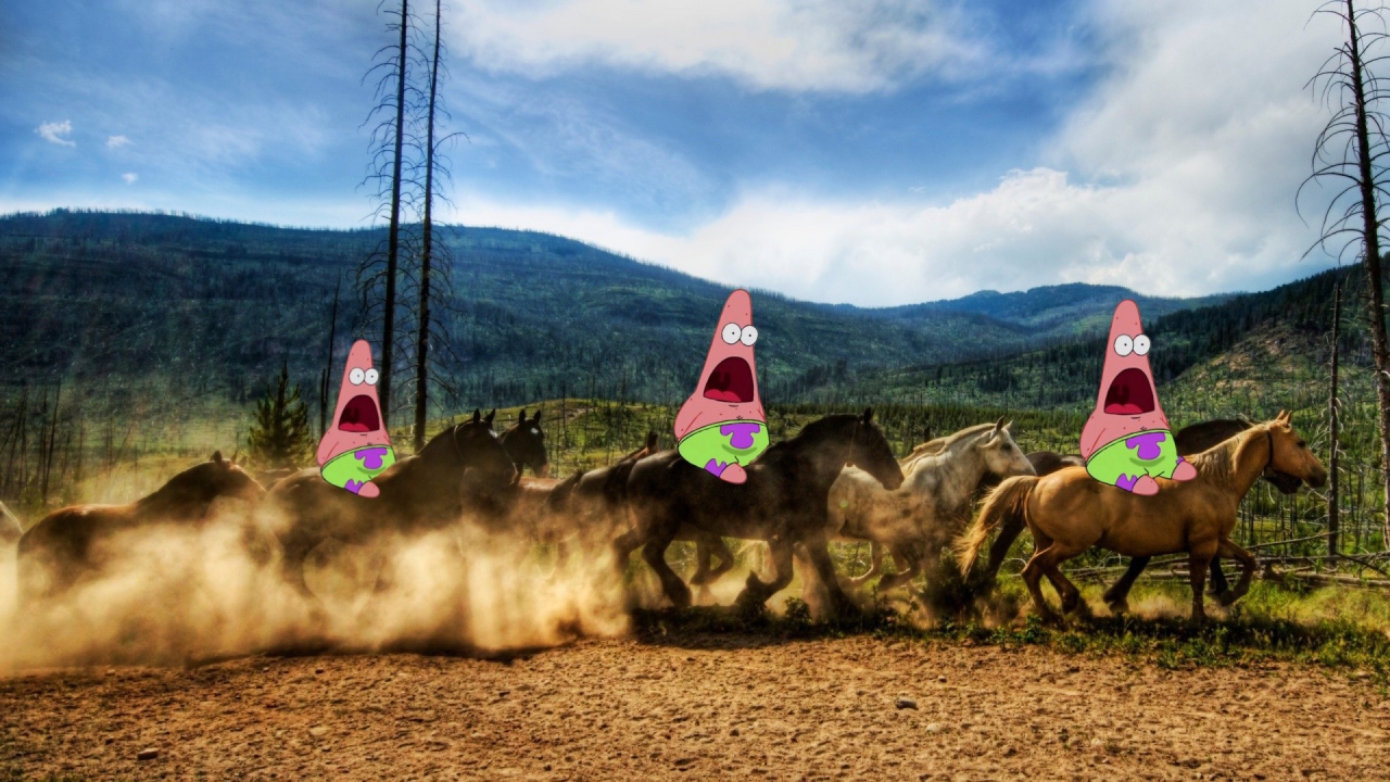 Патрик на лошадях