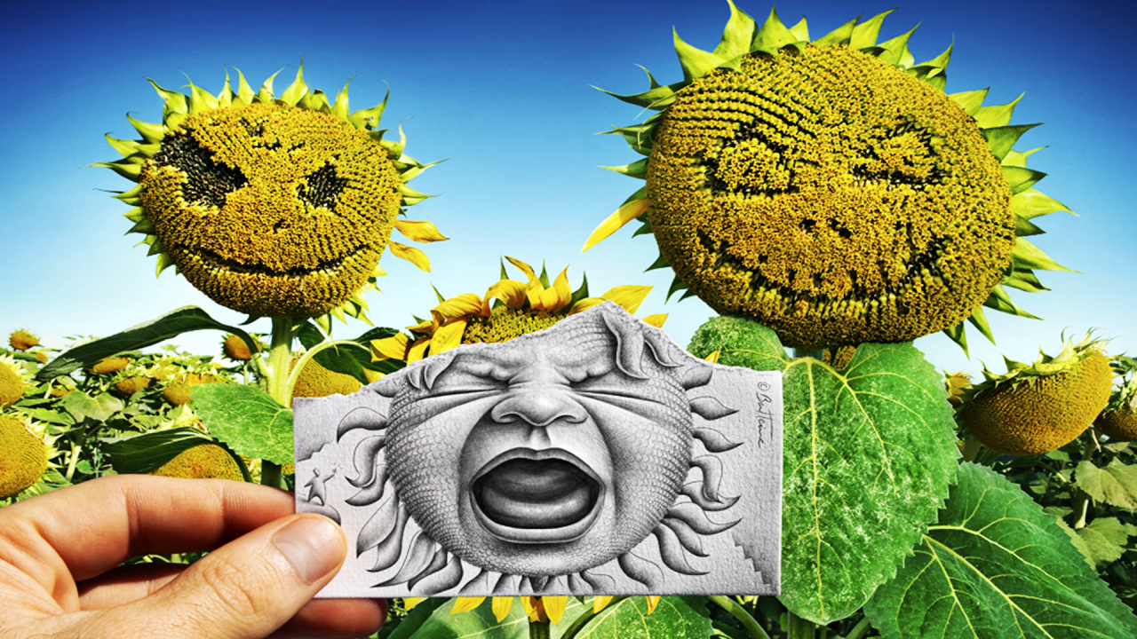 Лицо на подсолнухе