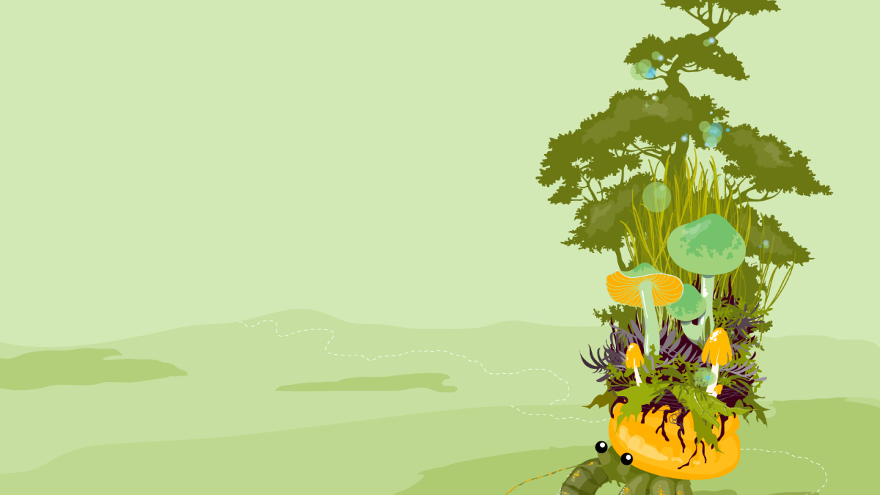 Растительность на крабе